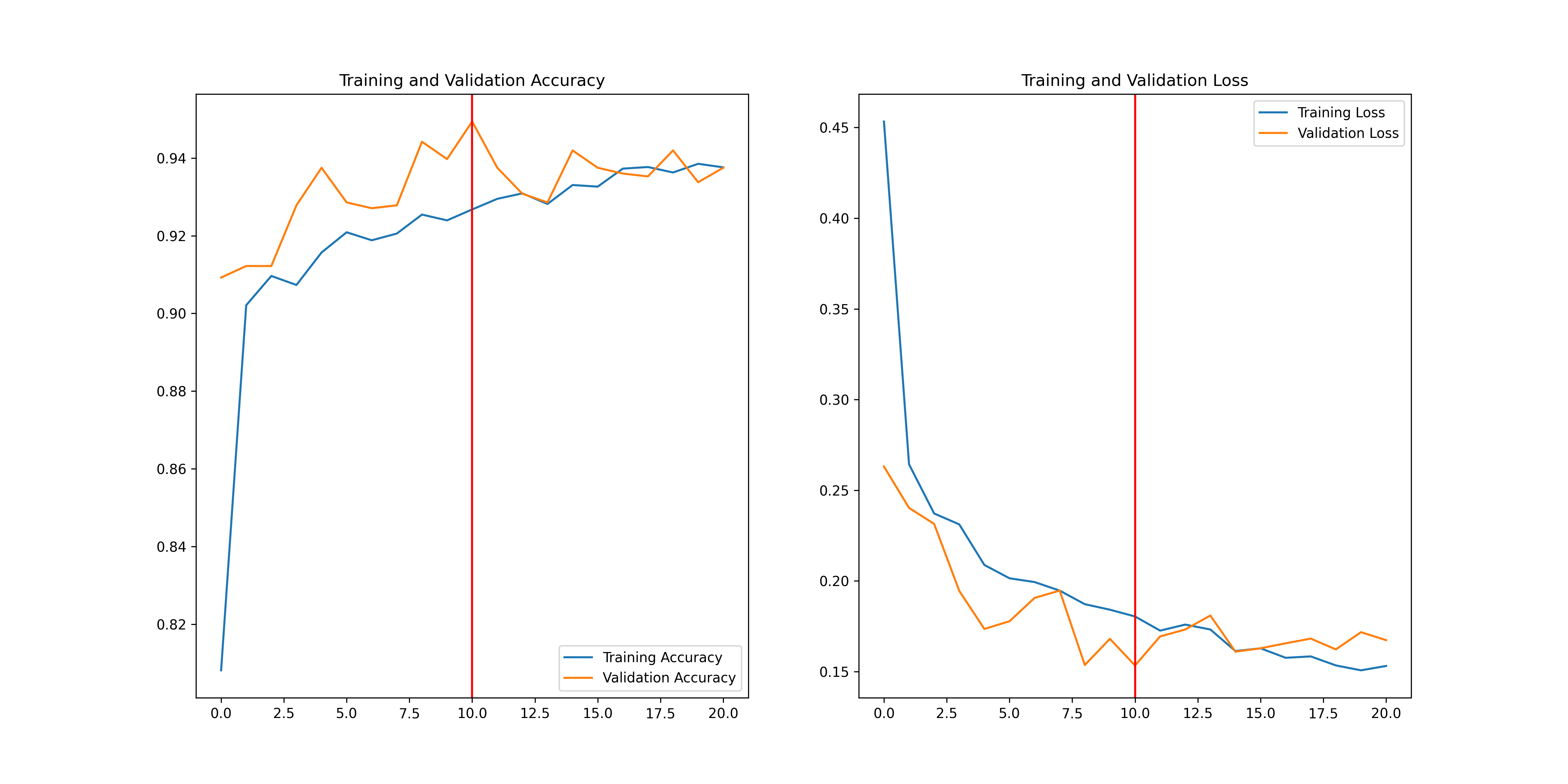 training_curve.png